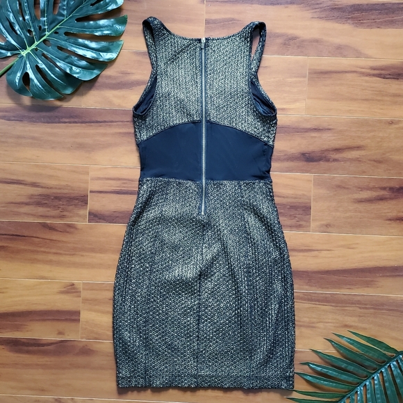 Express Gold and Black Cocktail Dress - Picture 3 of 7